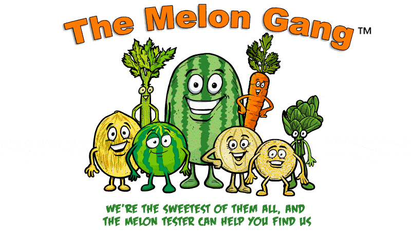 Animation_03202024 the-melon-gang