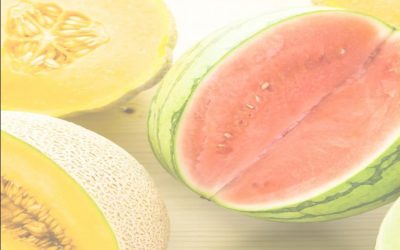 Melons for Wellness: Why They’re the Ultimate Superfood